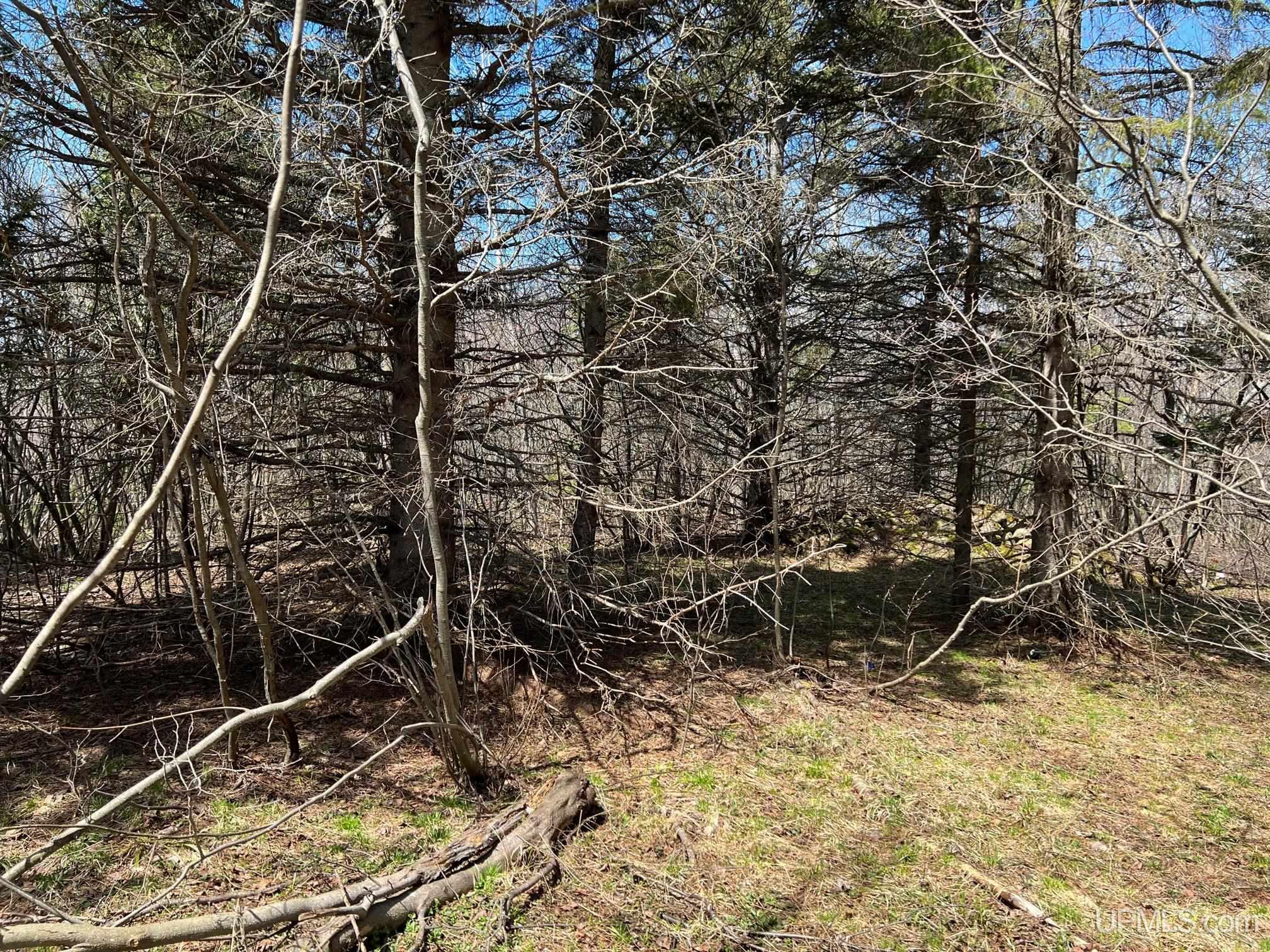 Tbd167 Liminga Road Houghton, MI 49931 - Photo 5 of 13 Gallery Image 5