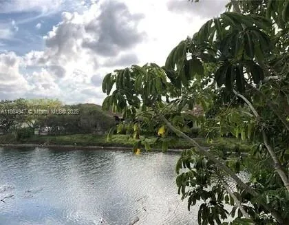 a view of a lake with a tree