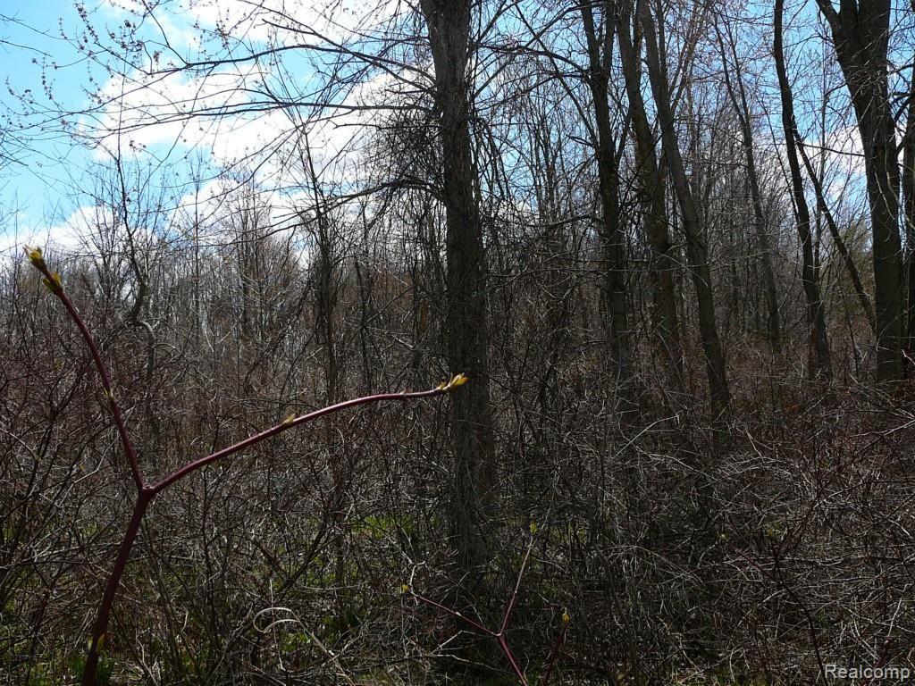 0 Brimley Road West Webberville, MI 48892 - Photo 13 of 36 2015-04-26 12.05