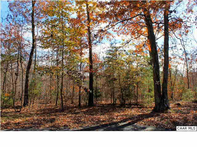 8607 3 Notch Road Louisa, VA 23093 - Photo 26 of 26 a view of a backyard with trees
