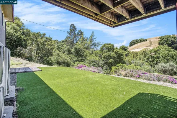 a view of a backyard with plants