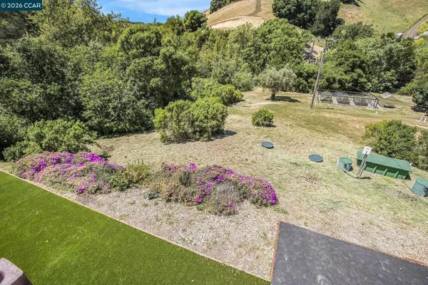 a view of a backyard with plants and lake view