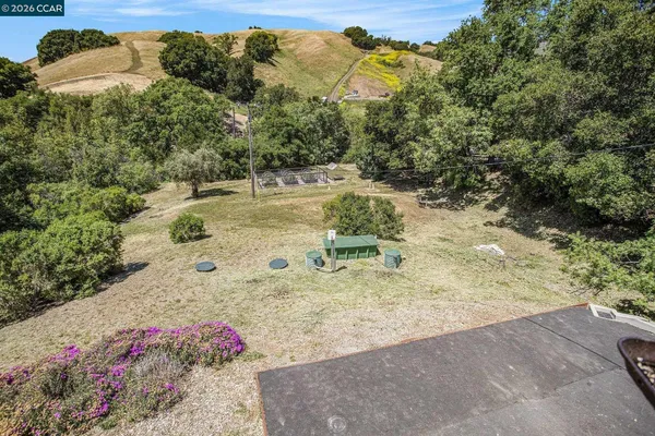 a view of a backyard with large trees