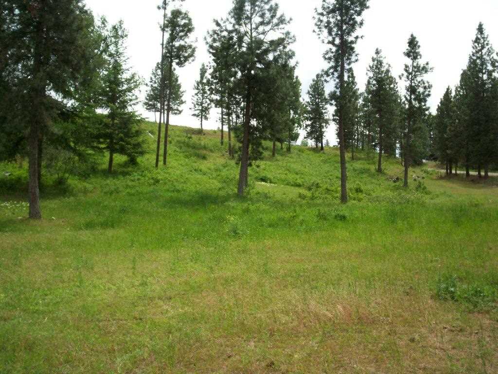 2319 Bossburg Road Evans, WA 99126 - Photo 13 of 20 Gallery Image 13