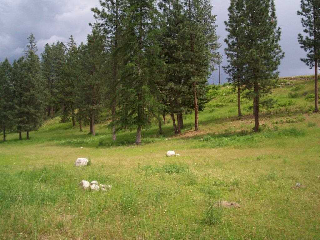 2319 Bossburg Road Evans, WA 99126 - Photo 14 of 20 Gallery Image 14