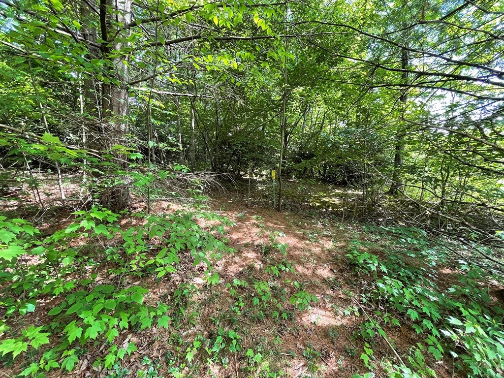 Tbd Tbd Autumn View Road, Unit 15 Fancy Gap, VA 24328 - Photo 8 of 11 Gallery Image 8