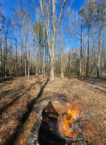 a backyard of a house with trees
