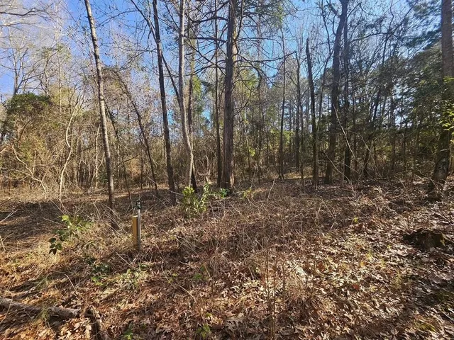 a view of backyard with green space