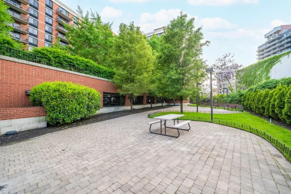 a park view with a bench