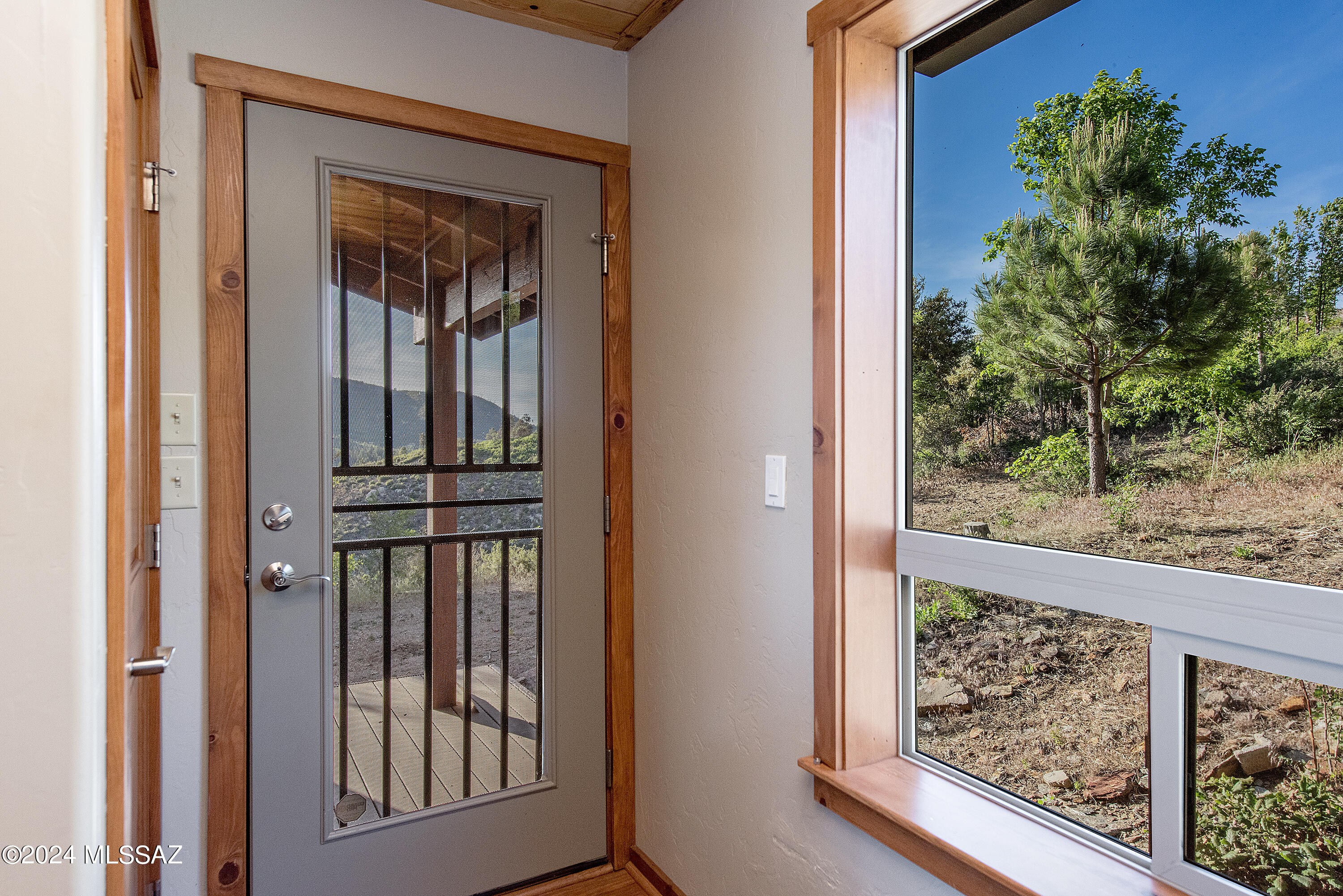 12063 North Fern Ridge Tucson, AZ 85739 - Photo 37 of 46 Front/Security Door & Views Out The Window