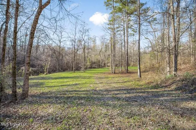 $1,125,000 | 200 Robert Williams Road, Fayette, MS 39069