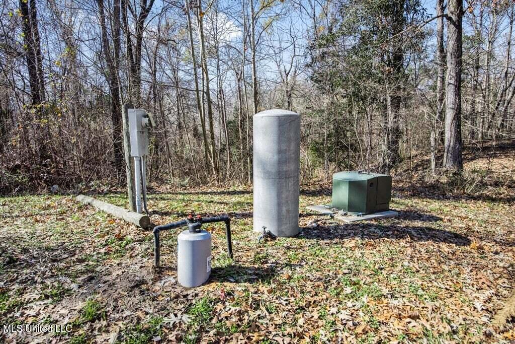 200 Robert Williams Road Fayette, MS 39069 - Photo 13 of 33 20250707195750894353000000-o