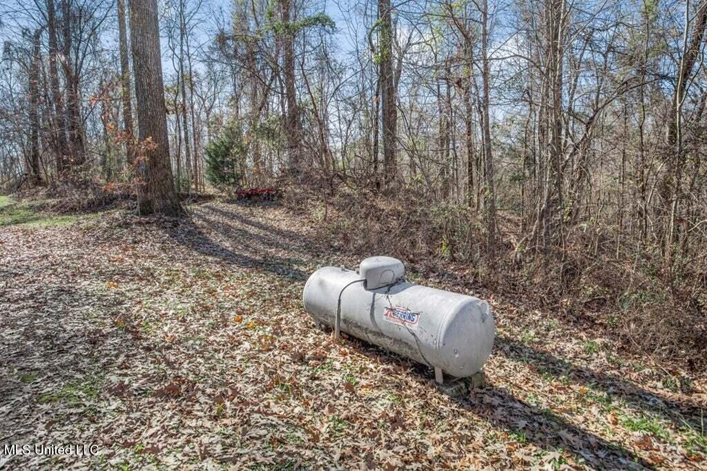 200 Robert Williams Road Fayette, MS 39069 - Photo 14 of 33 20250707195751153100000000-o