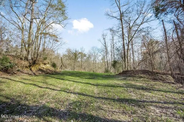 $1,125,000 | 200 Robert Williams Road, Fayette, MS 39069