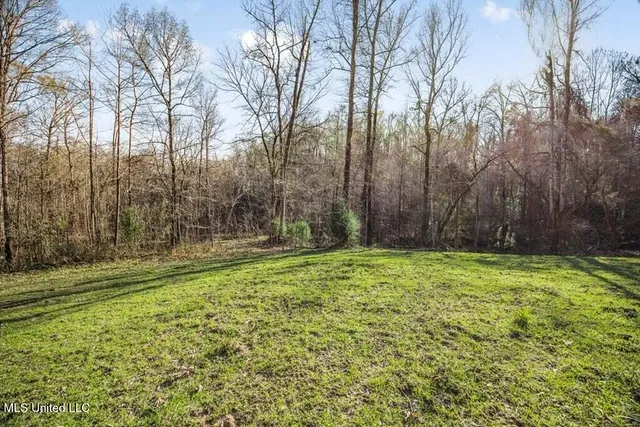 $1,125,000 | 200 Robert Williams Road, Fayette, MS 39069