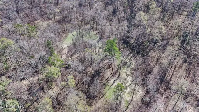 $1,125,000 | 200 Robert Williams Road, Fayette, MS 39069