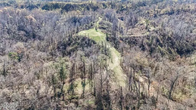 $1,125,000 | 200 Robert Williams Road, Fayette, MS 39069