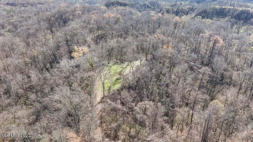 200 Robert Williams Road Fayette, MS 39069 - Photo 22 of 33 20250707195752883963000000-o