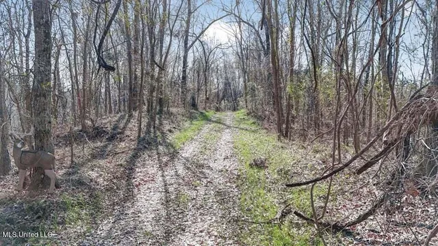 $1,125,000 | 200 Robert Williams Road, Fayette, MS 39069