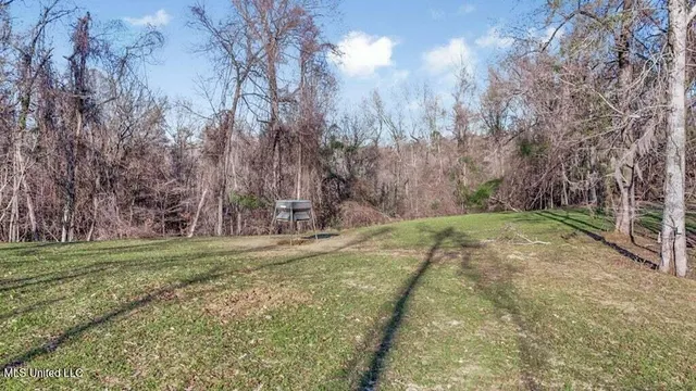 $1,125,000 | 200 Robert Williams Road, Fayette, MS 39069