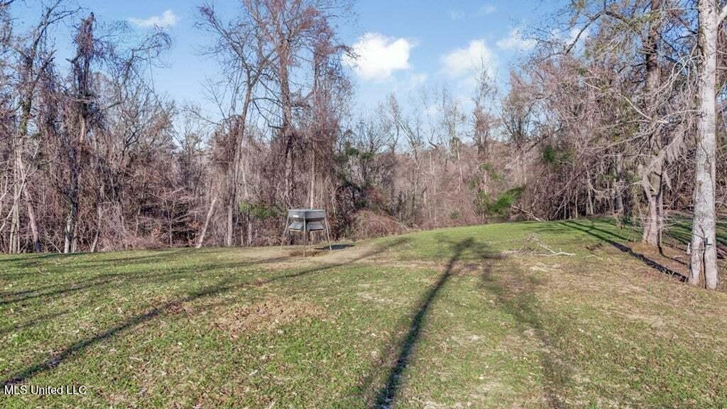 200 Robert Williams Road Fayette, MS 39069 - Photo 24 of 33 20250707195753924572000000-o