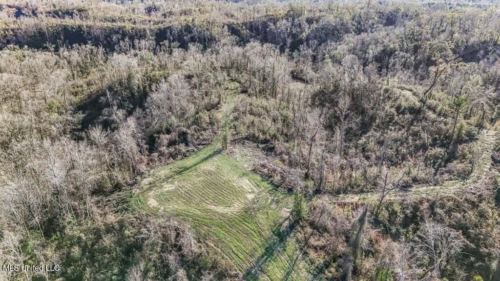 200 Robert Williams Road Fayette, MS 39069 - Photo 25 of 33 20250707195754130328000000-o