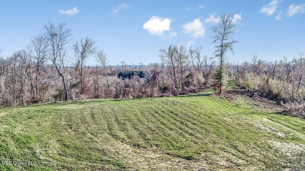 200 Robert Williams Road Fayette, MS 39069 - Photo 26 of 33 20250707195754236442000000-o