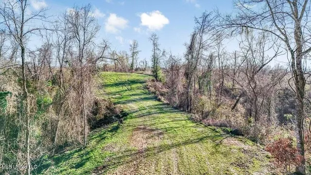 $1,125,000 | 200 Robert Williams Road, Fayette, MS 39069