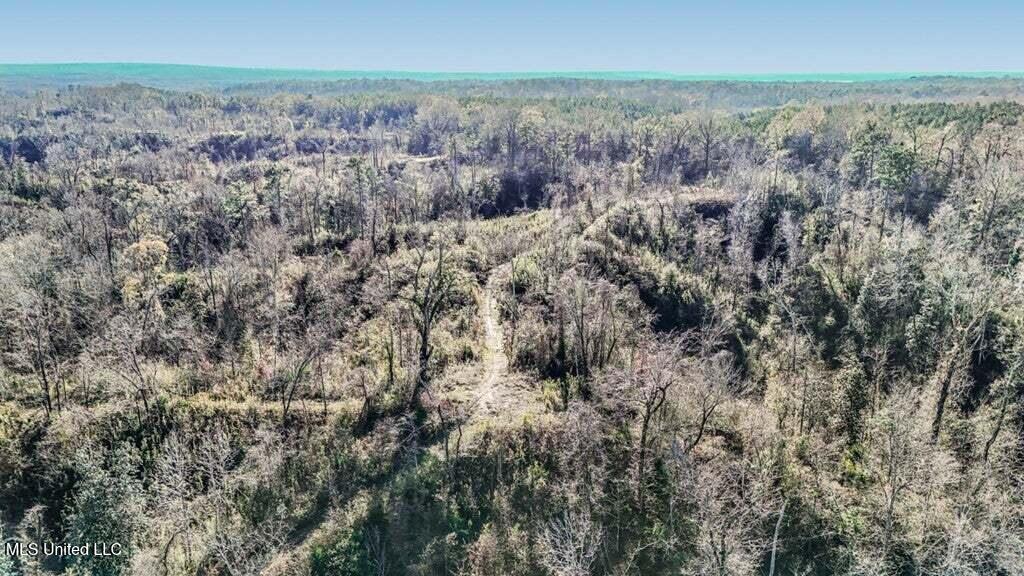 200 Robert Williams Road Fayette, MS 39069 - Photo 28 of 33 20250707195754354046000000-o