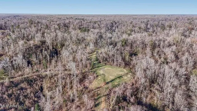 $1,125,000 | 200 Robert Williams Road, Fayette, MS 39069