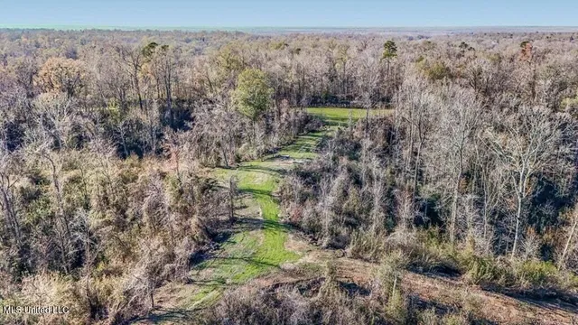 $1,125,000 | 200 Robert Williams Road, Fayette, MS 39069