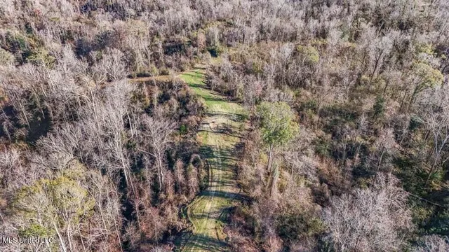 $1,125,000 | 200 Robert Williams Road, Fayette, MS 39069