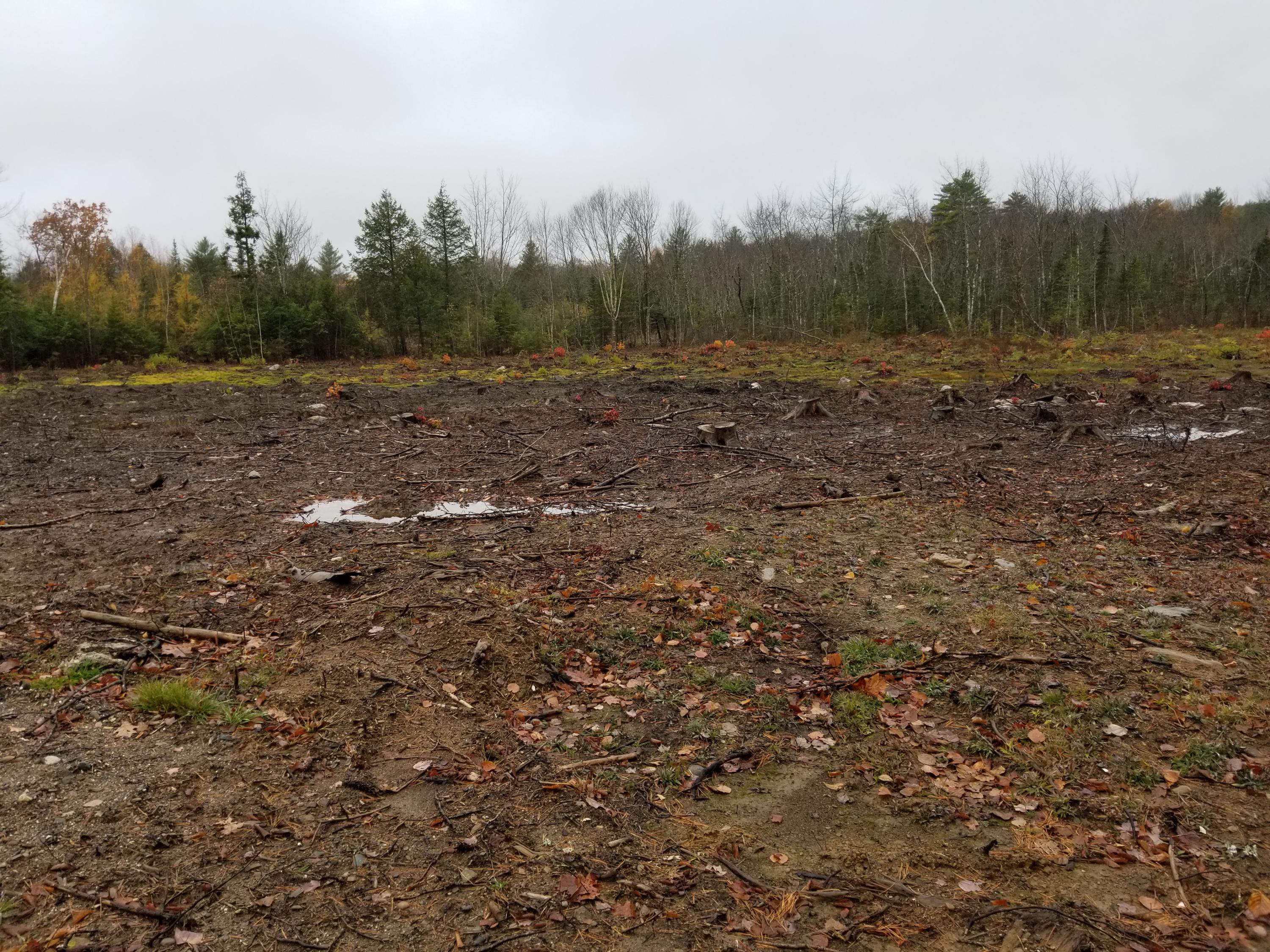 Lot #3 Pindo Polara Road Jefferson, ME 04348 - Photo 2 of 3 Lot 3a