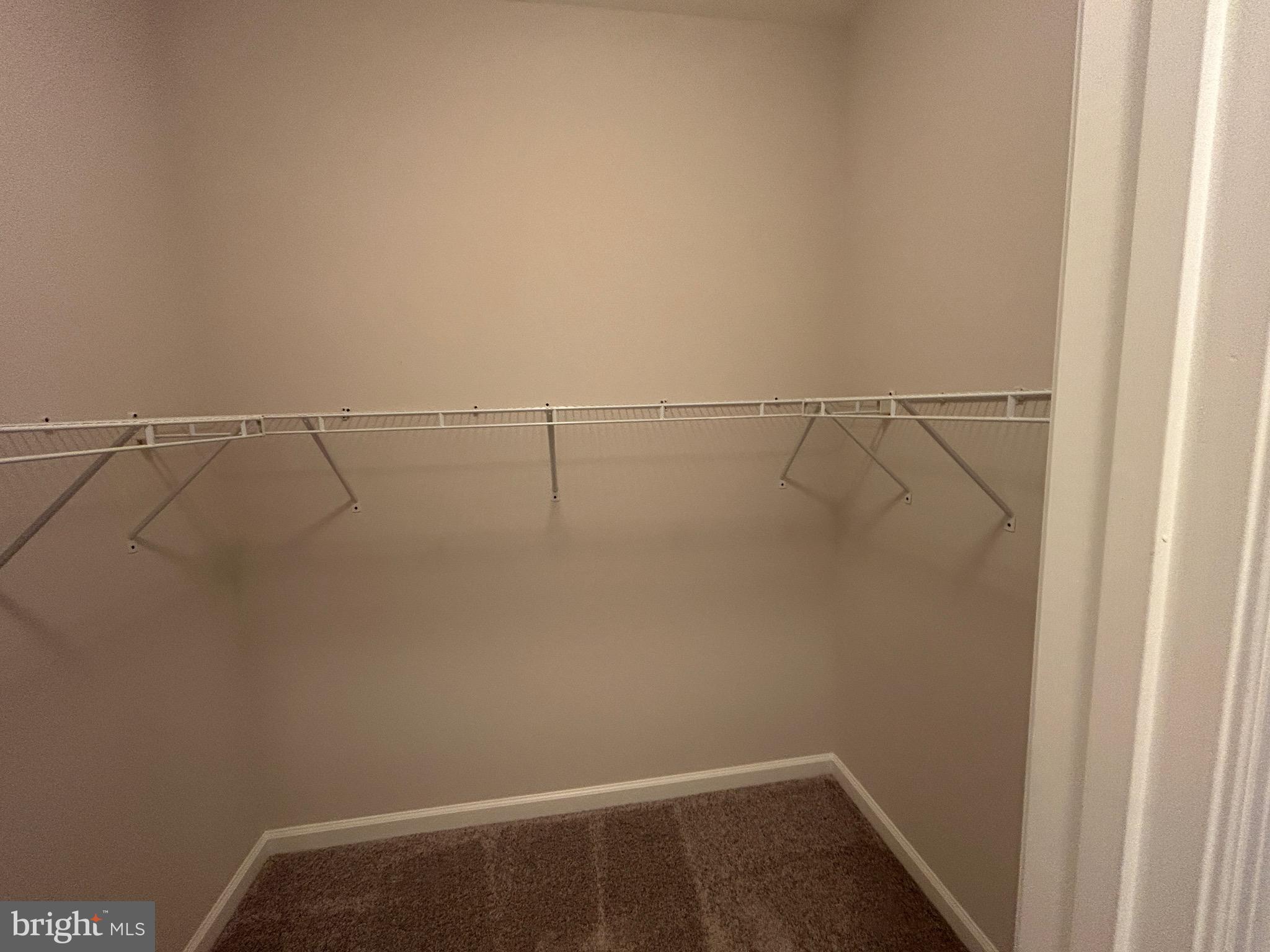 1406 Wigeon Way, Unit 306 Gambrills, MD 21054 - Photo 15 of 32 Walk-in Closet