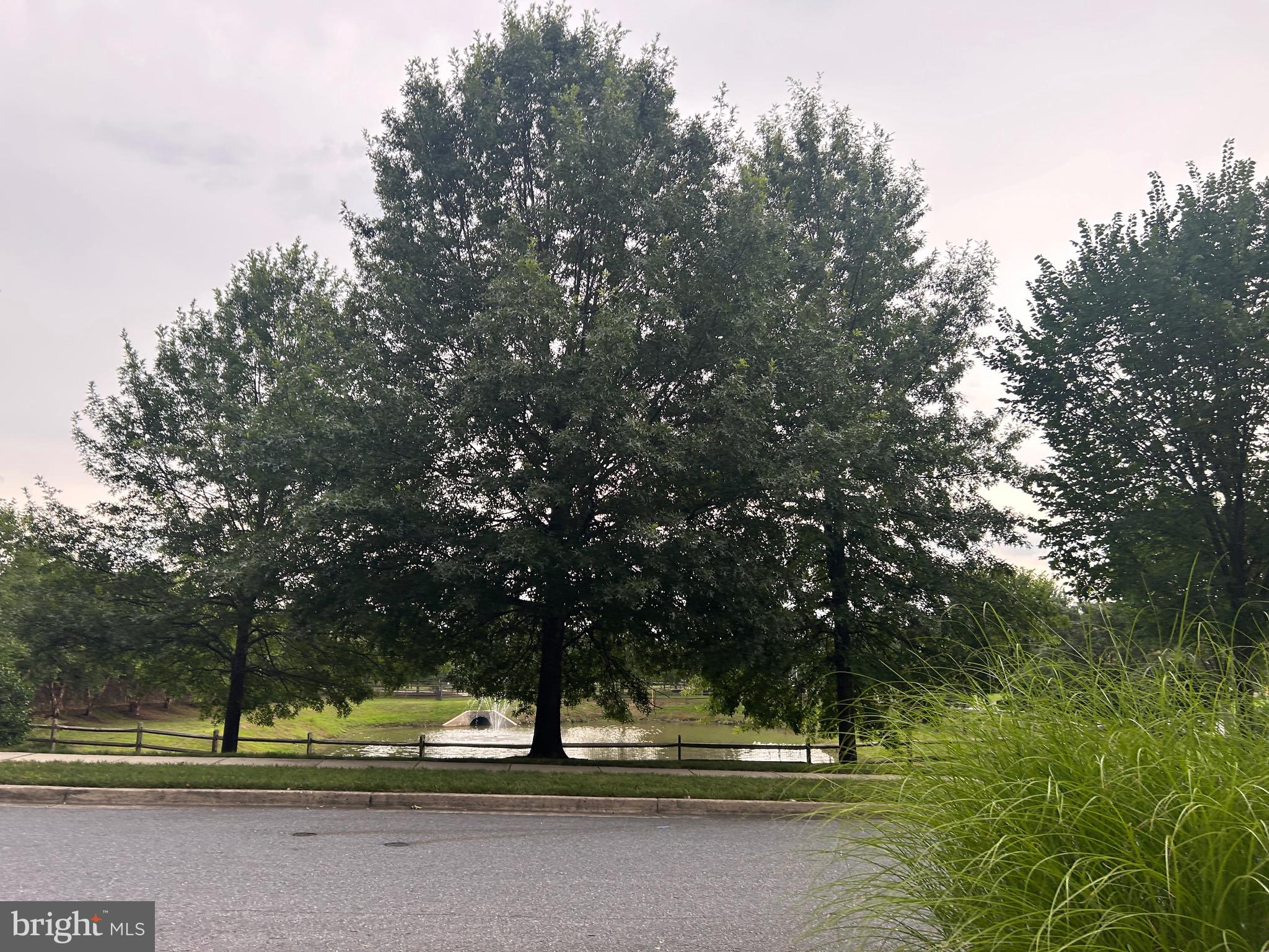 1406 Wigeon Way, Unit 306 Gambrills, MD 21054 - Photo 31 of 32 Pond with Fountain