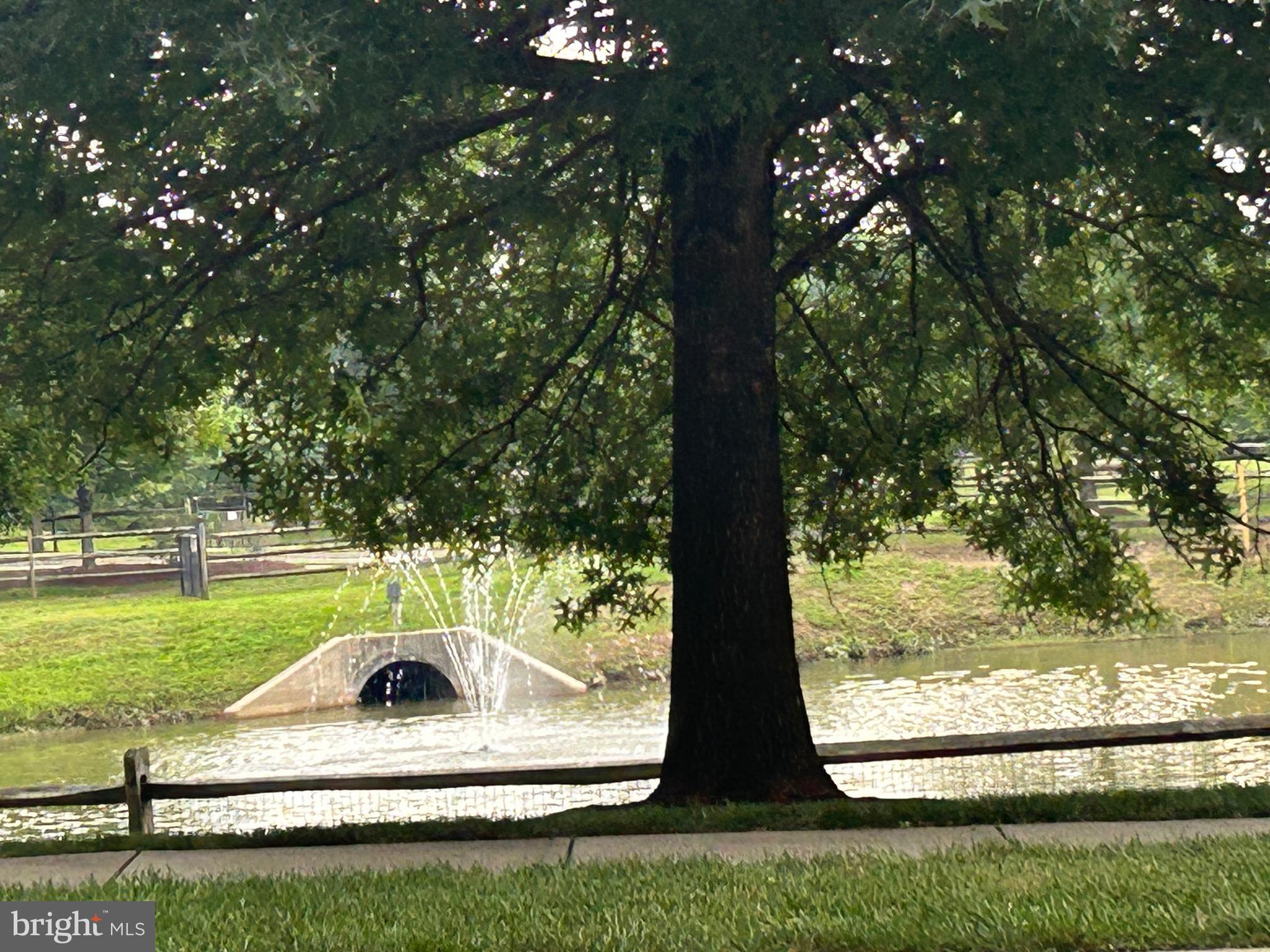 1406 Wigeon Way, Unit 306 Gambrills, MD 21054 - Photo 32 of 32 Pond and Walking Trails
