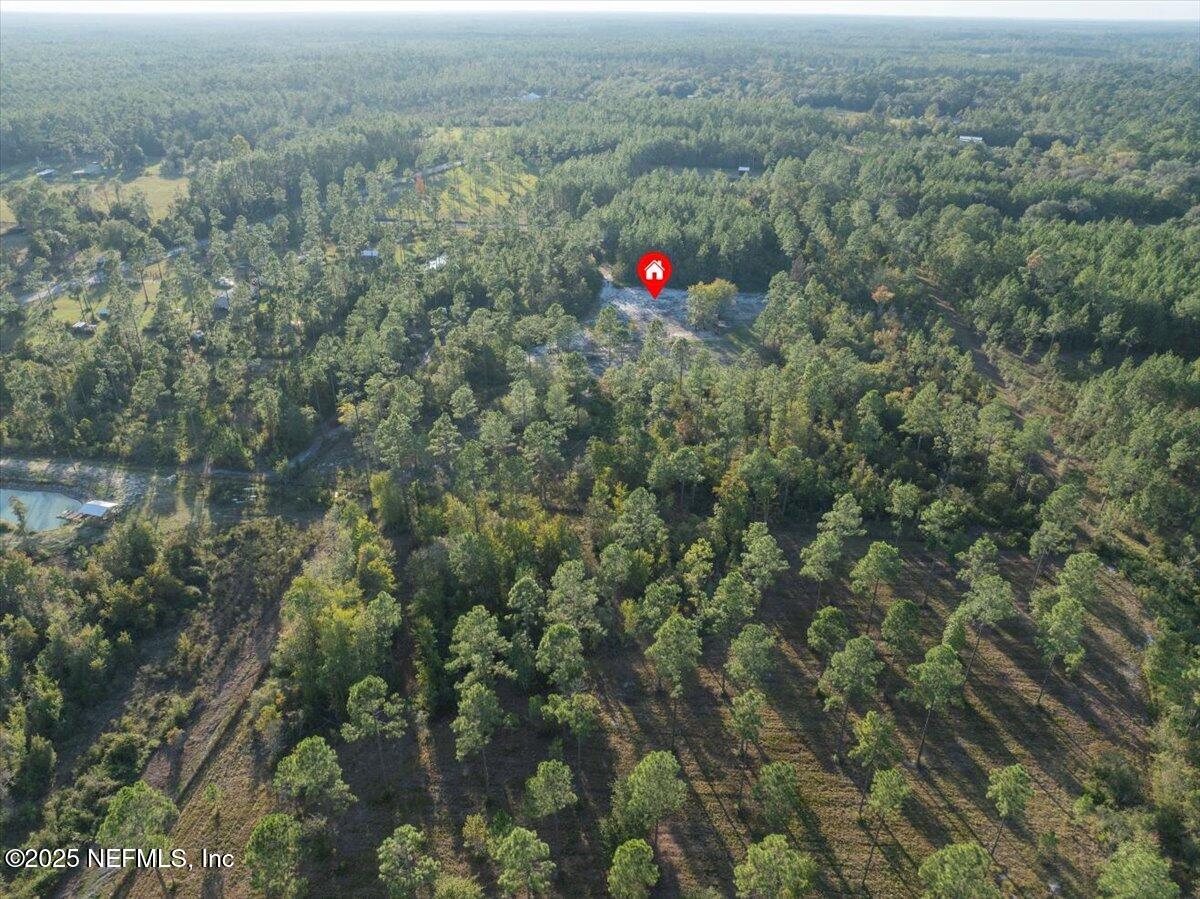 Tbd Jerry Holland Road Sanderson, FL 32087 - Photo 12 of 16 a view of a and covered with trees