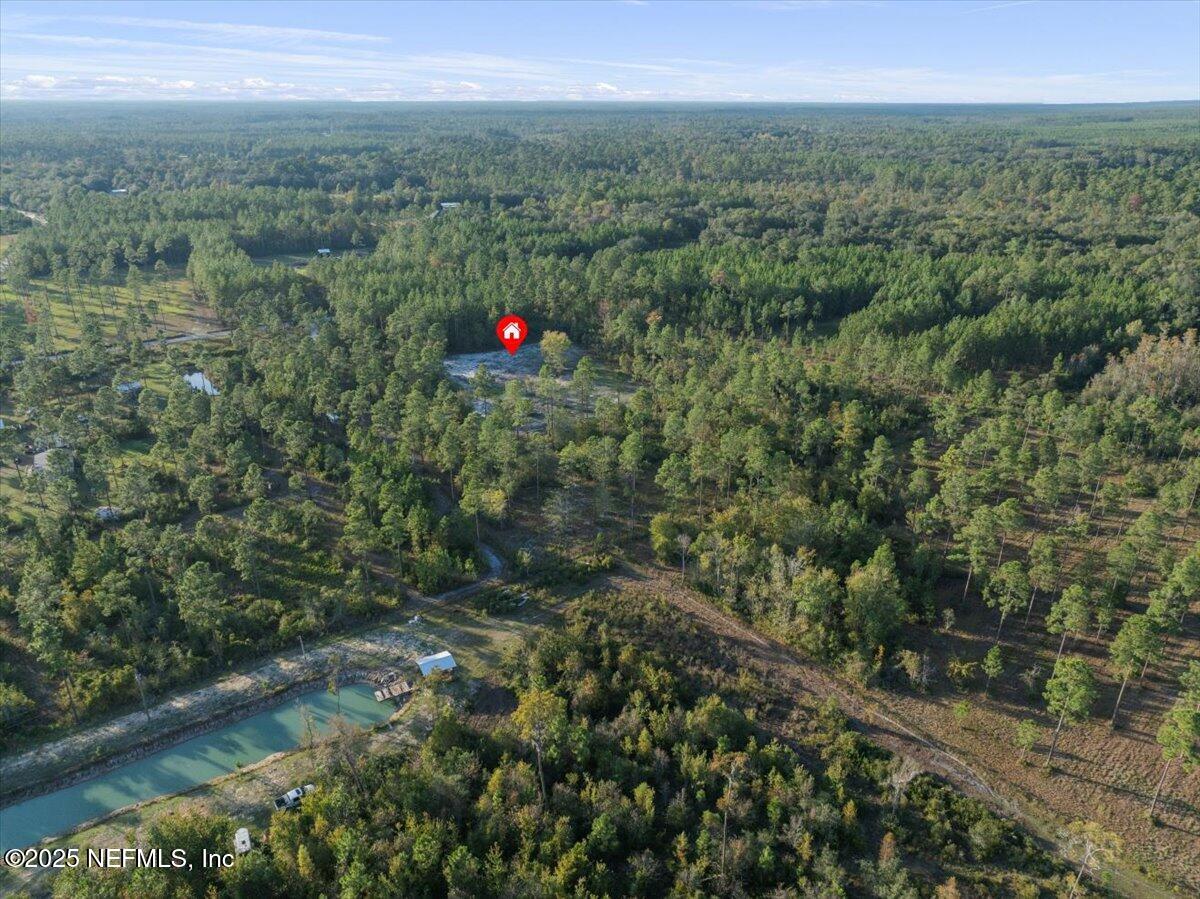 Tbd Jerry Holland Road Sanderson, FL 32087 - Photo 13 of 16 a view of a green field with lots of bushes