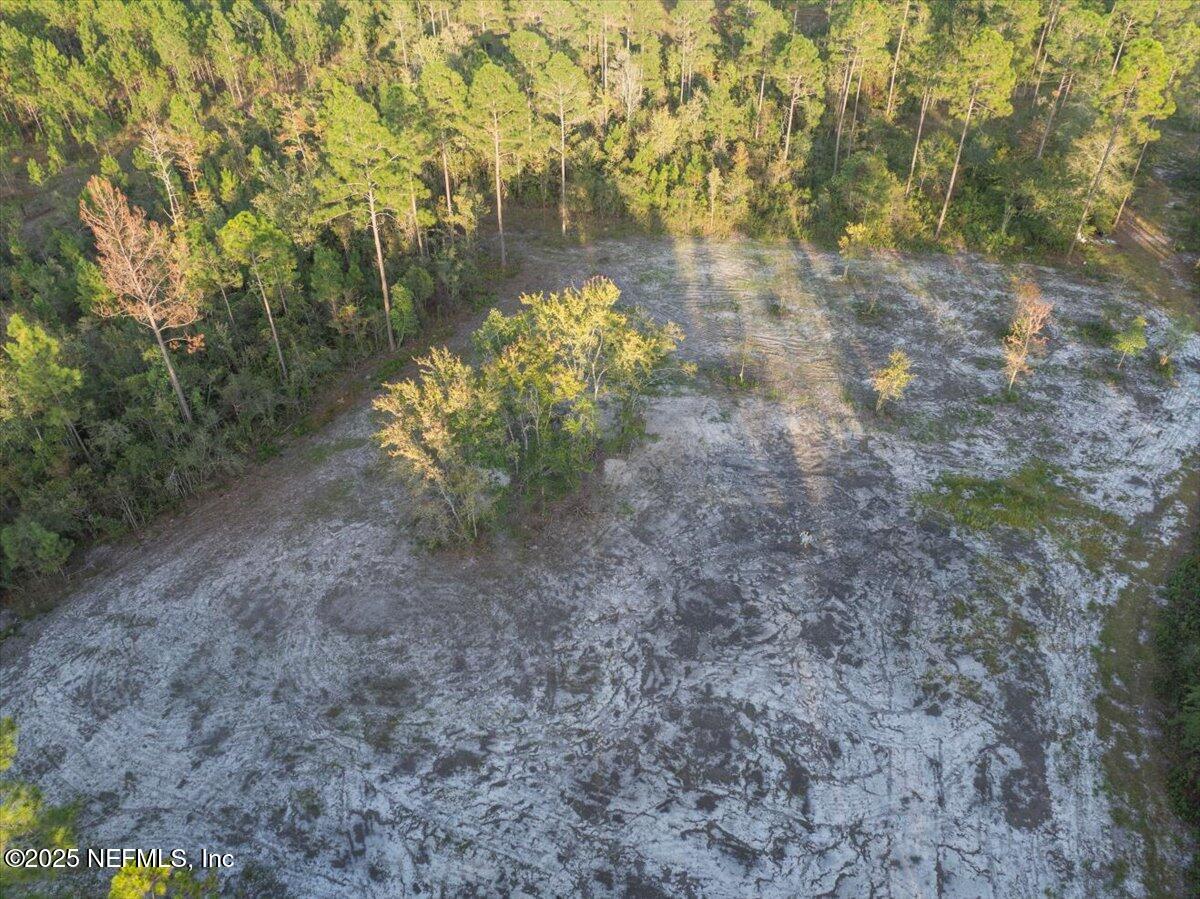 Tbd Jerry Holland Road Sanderson, FL 32087 - Photo 4 of 16 a view of a yard with plants and trees