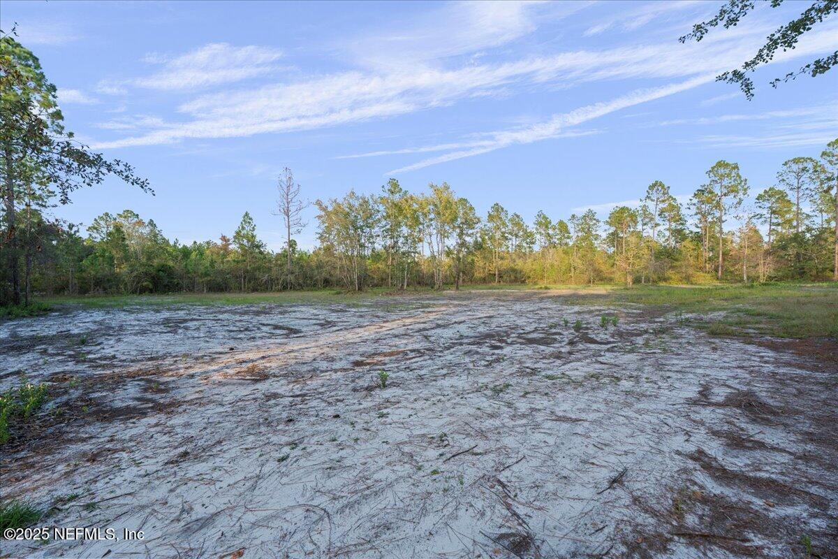 Tbd Jerry Holland Road Sanderson, FL 32087 - Photo 5 of 16 a view of a field with an trees