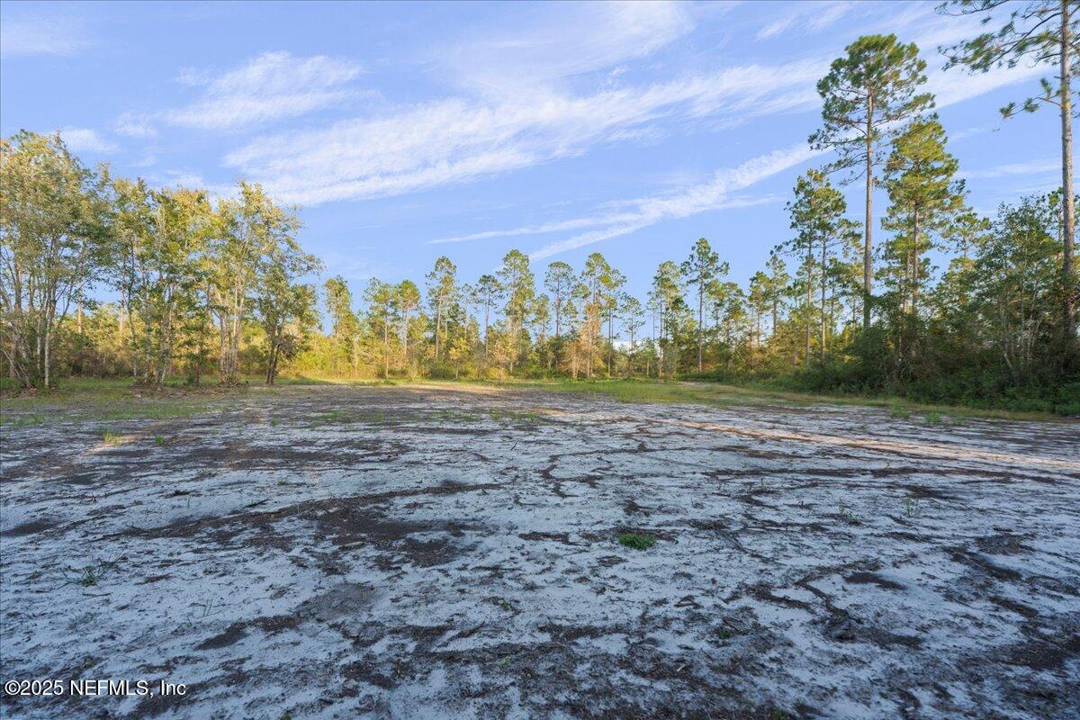 Tbd Jerry Holland Road Sanderson, FL 32087 - Photo 6 of 16 a view of dirt yard with a large tree