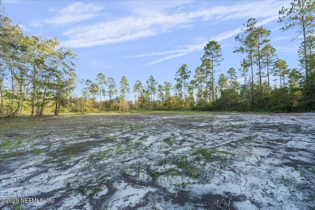 a view of a grassy field with trees in the background
