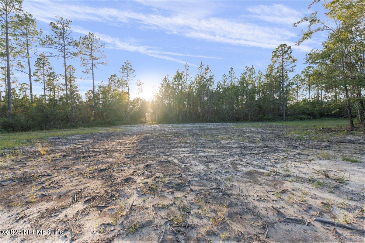 Tbd Jerry Holland Road Sanderson, FL 32087 - Photo 8 of 16 a view of a grassy field with trees in the background