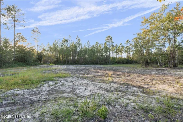 a view of a yard with plants and trees