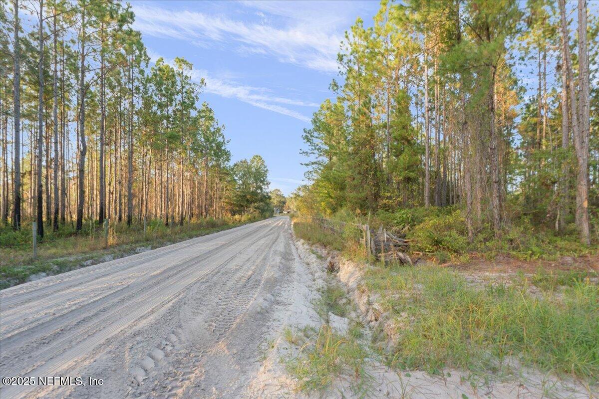 Tbd Jerry Holland Road Sanderson, FL 32087 - Photo 10 of 16 a view of a yard with plants and trees