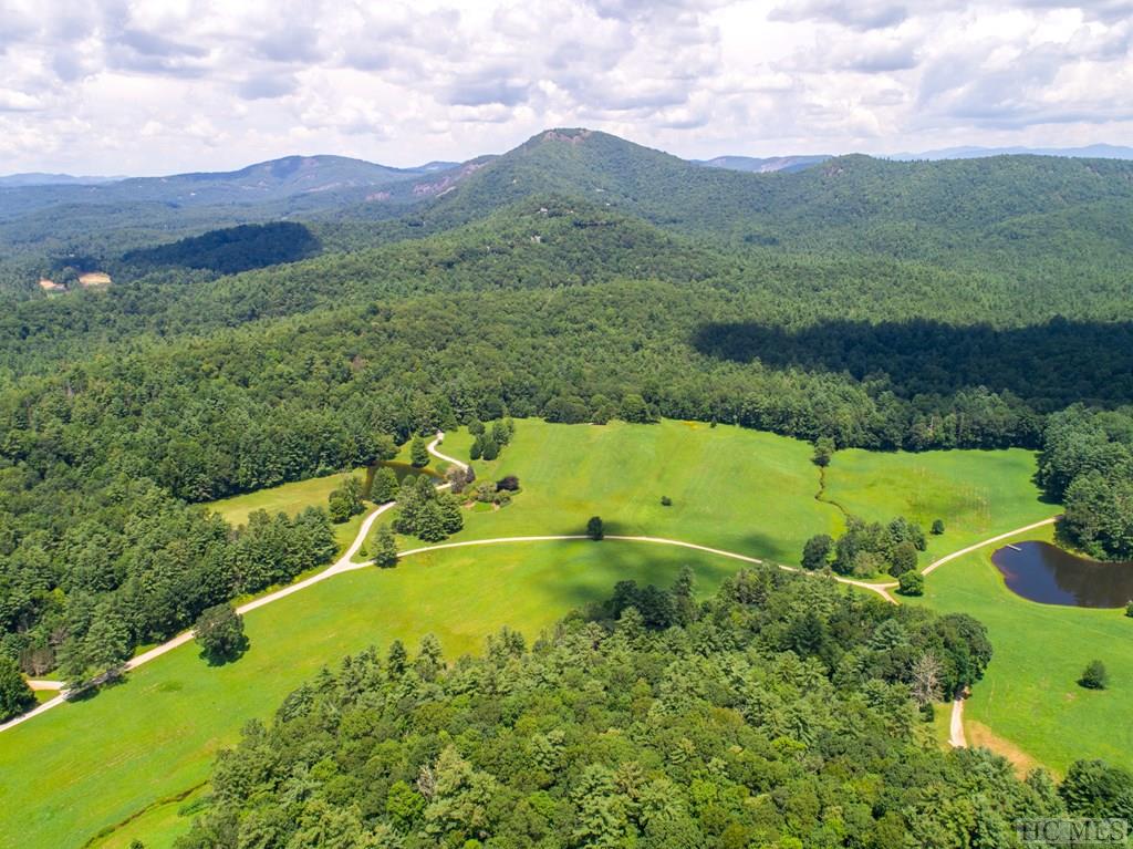 Lot Md-7 Silver Run Road Sapphire, NC 28774 - Photo 7 of 33 Gallery Image 7