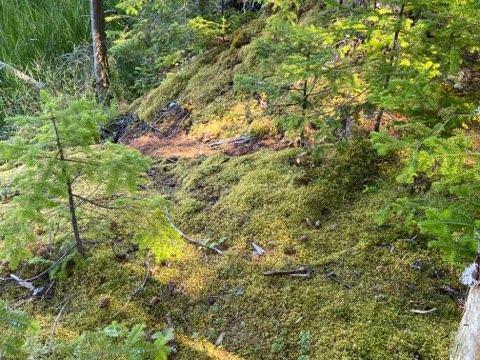 715 Paul Bunyan Road Corea, ME 04624 - Photo 10 of 14 IMG_20250827_163357 (7)
