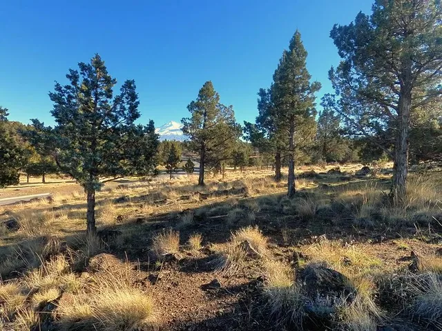 $17,500 | 0 Mountain Wood Drive, Weed, CA 96094