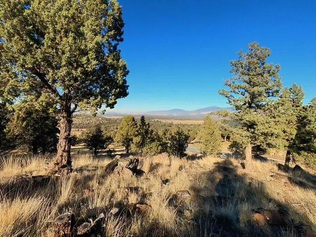 $17,500 | 0 Mountain Wood Drive, Weed, CA 96094