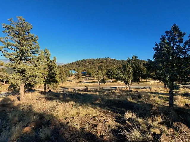 $17,500 | 0 Mountain Wood Drive, Weed, CA 96094